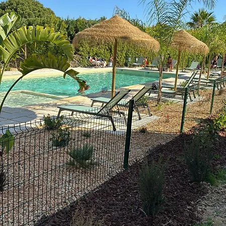 Apartament - Casa De La Rosa *